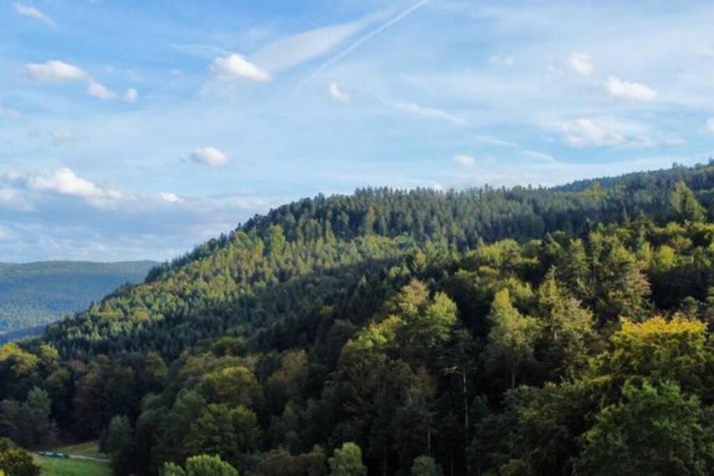 Ferienwohnung Wohnen Im Schwarzwald Mit Panoramablick Bad Herrenalb Exterior foto